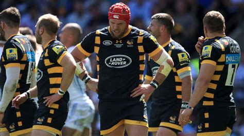 wasps rugby news today